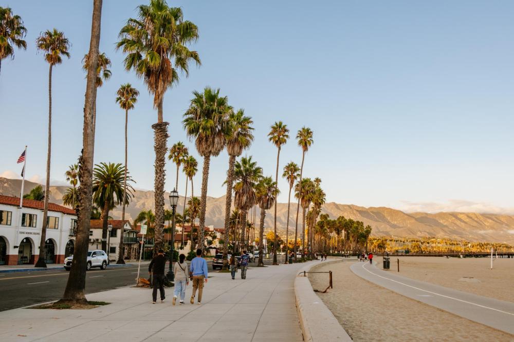 People walking on along the beach lined with palm trees