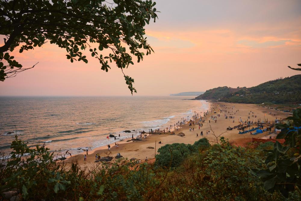 Golden beach in Goa at sunset, with palm trees and gentle waves