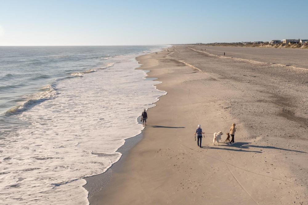 Three people walk the coast of Saint Augustine, two dogs walk alongside them as waves gently lap the shore.