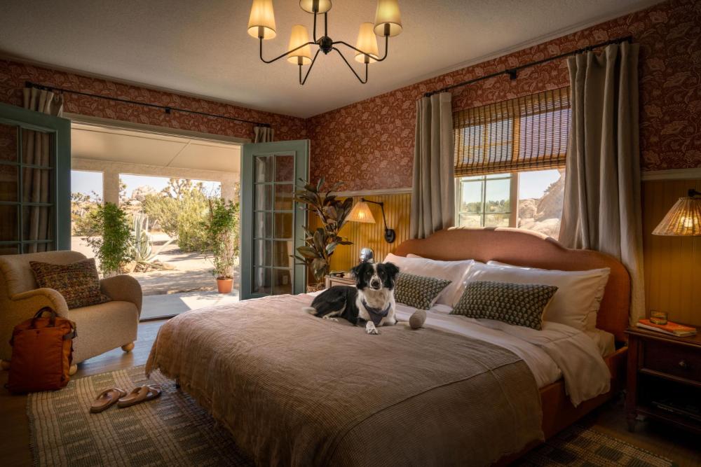 A dog resting on a bed in a cozy bedroom with doors open to a natural setting