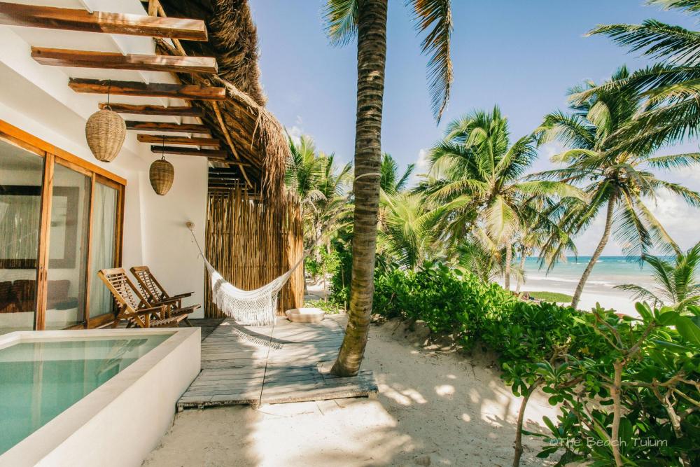 Tropical oceanfront guest room with palm trees, a hammock, and a pool, surrounded by lush greenery