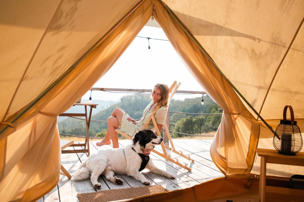 A woman sitting on a deck chair outside a glamping tent with a dog, overlooking wooded hills.