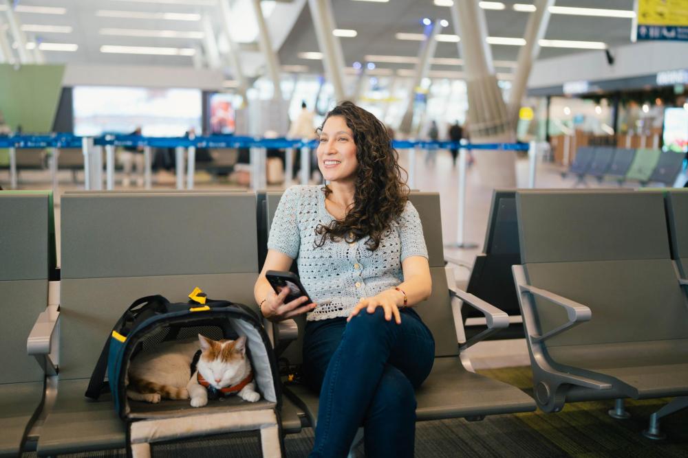 Traveller sitting in an airport waiting area with a cat resting in a pet carrier 