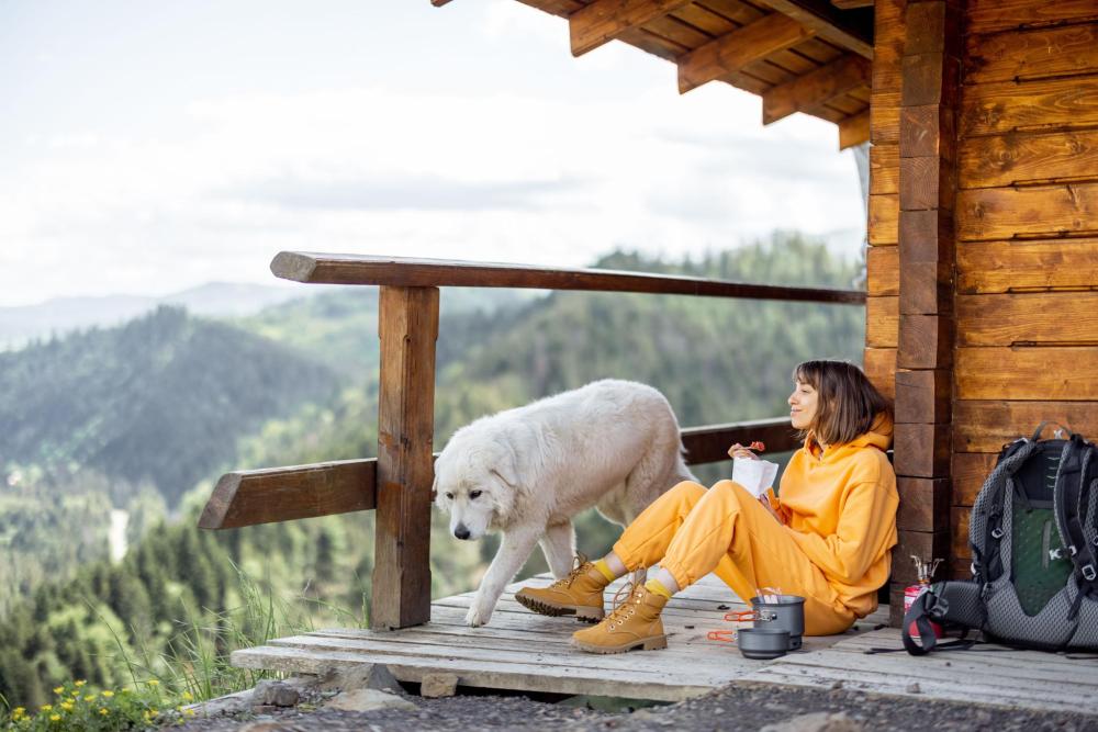 A guest in an orange tracksuit sitting on a wooden lodge veranda with a large white dog, overlooking a forested mountain landscape.