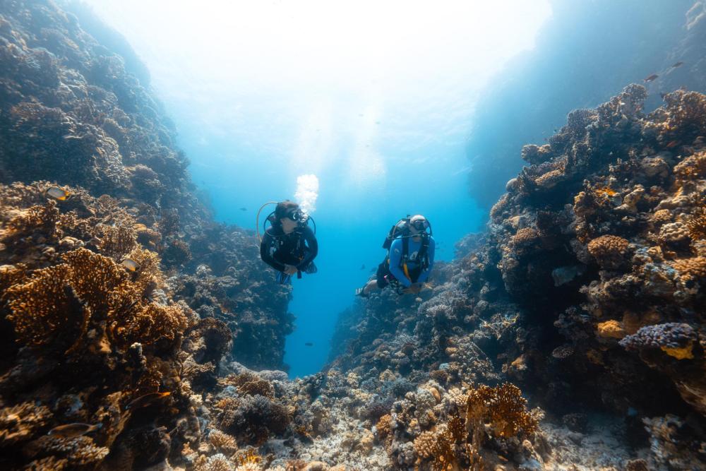 Two scuba divers explore a narrow coral canyon in the Red Sea, surrounded by vibrant reef walls and rays of sunlight filtering through clear blue water.