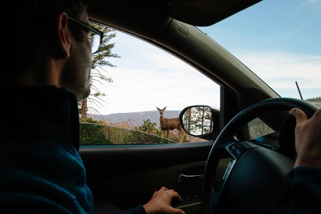 Your guide to third-party liability insurance