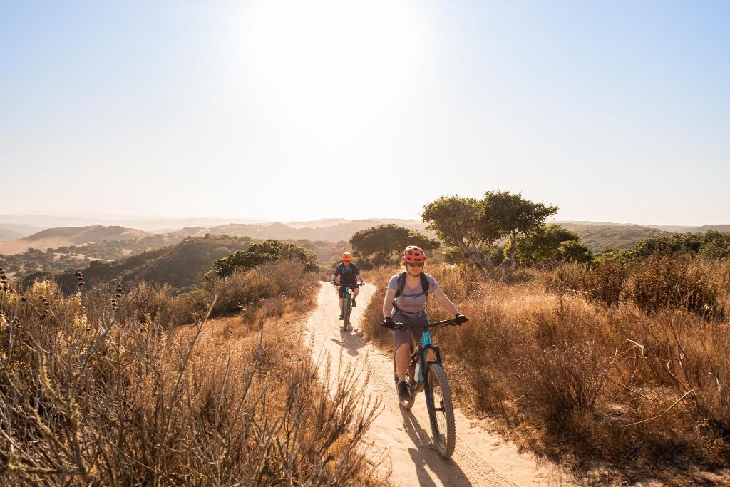 How to Travel with Bikes in a Rental Car: FAQs