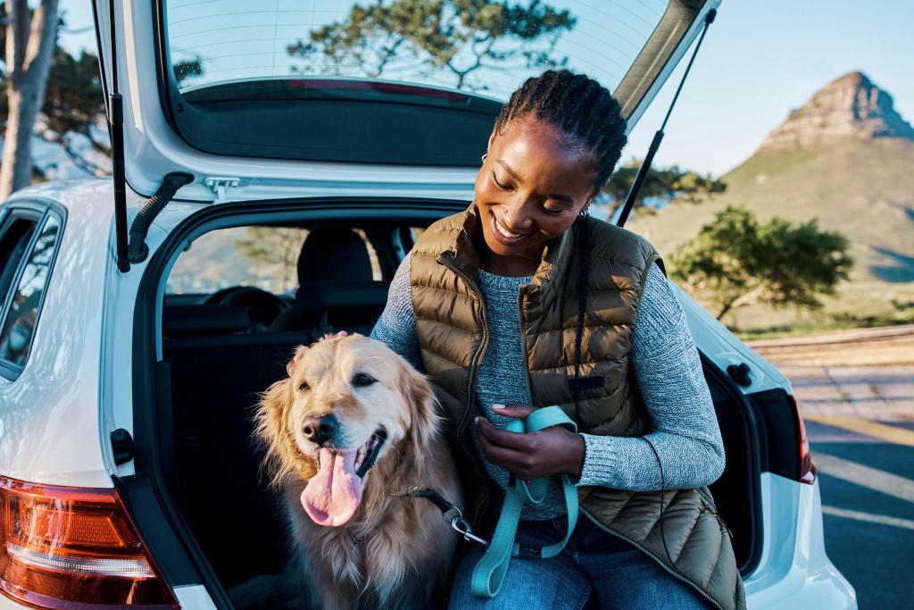 Traveling With Pets in a Rental Car: Can I Take My Dog in a Hire Car?
