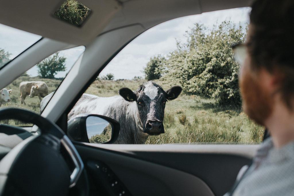 Got an Unexpected Charge From Your Car Rental?