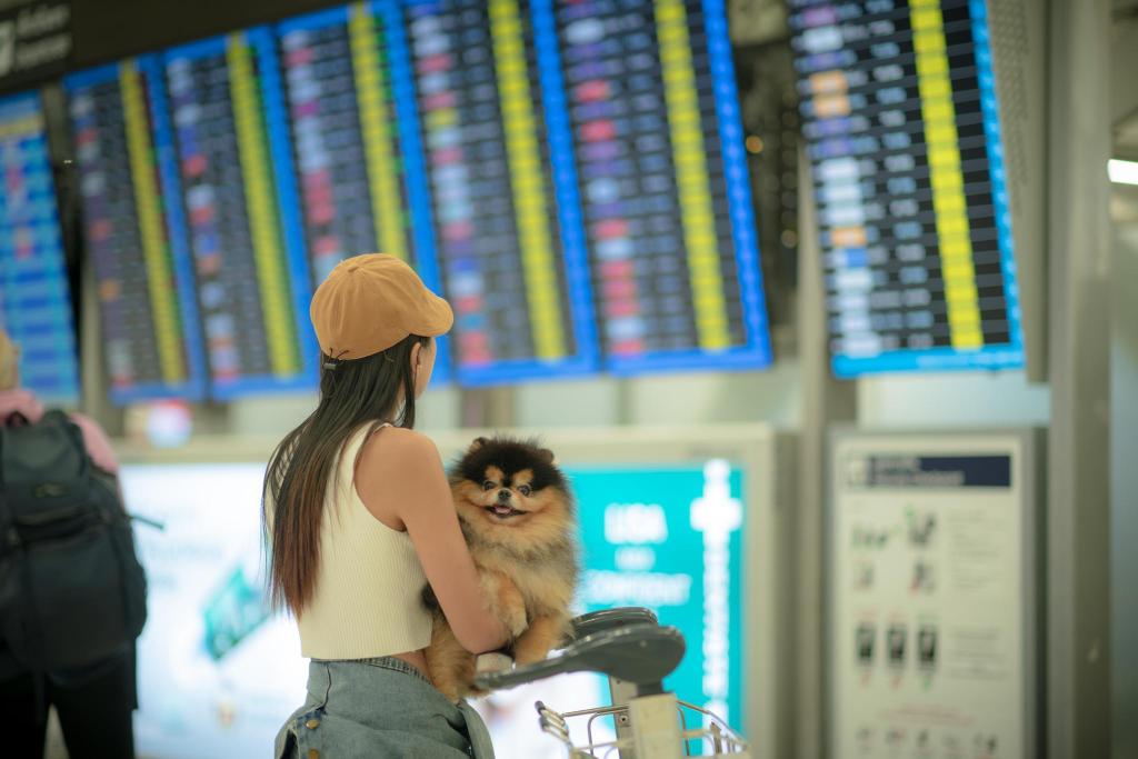 Can emotional support dogs fly? The policies explained