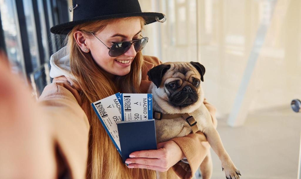 Traveling with pets: How to fly with a dog