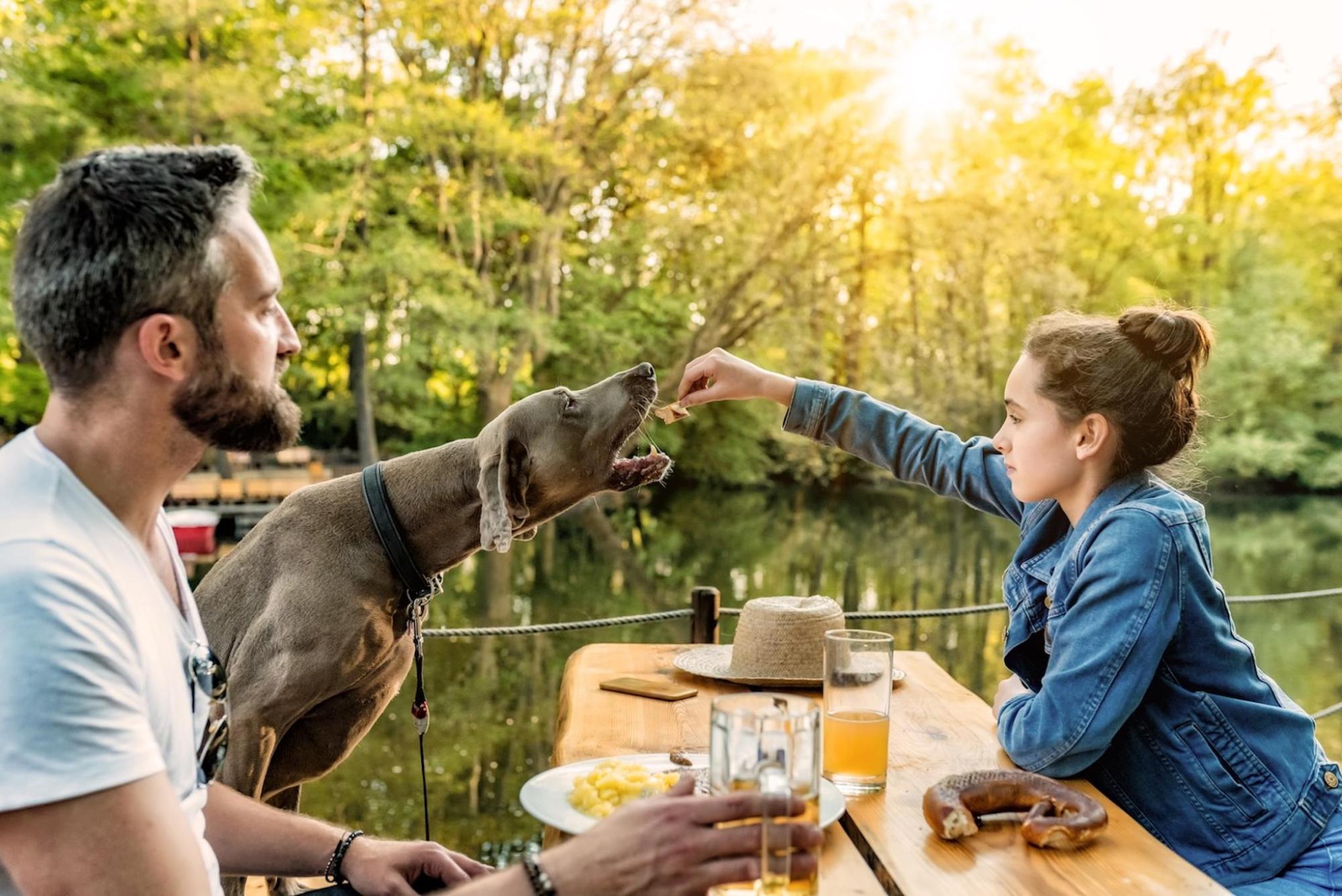 A man & daughter at a table in NOLA – the girl feeds the dog