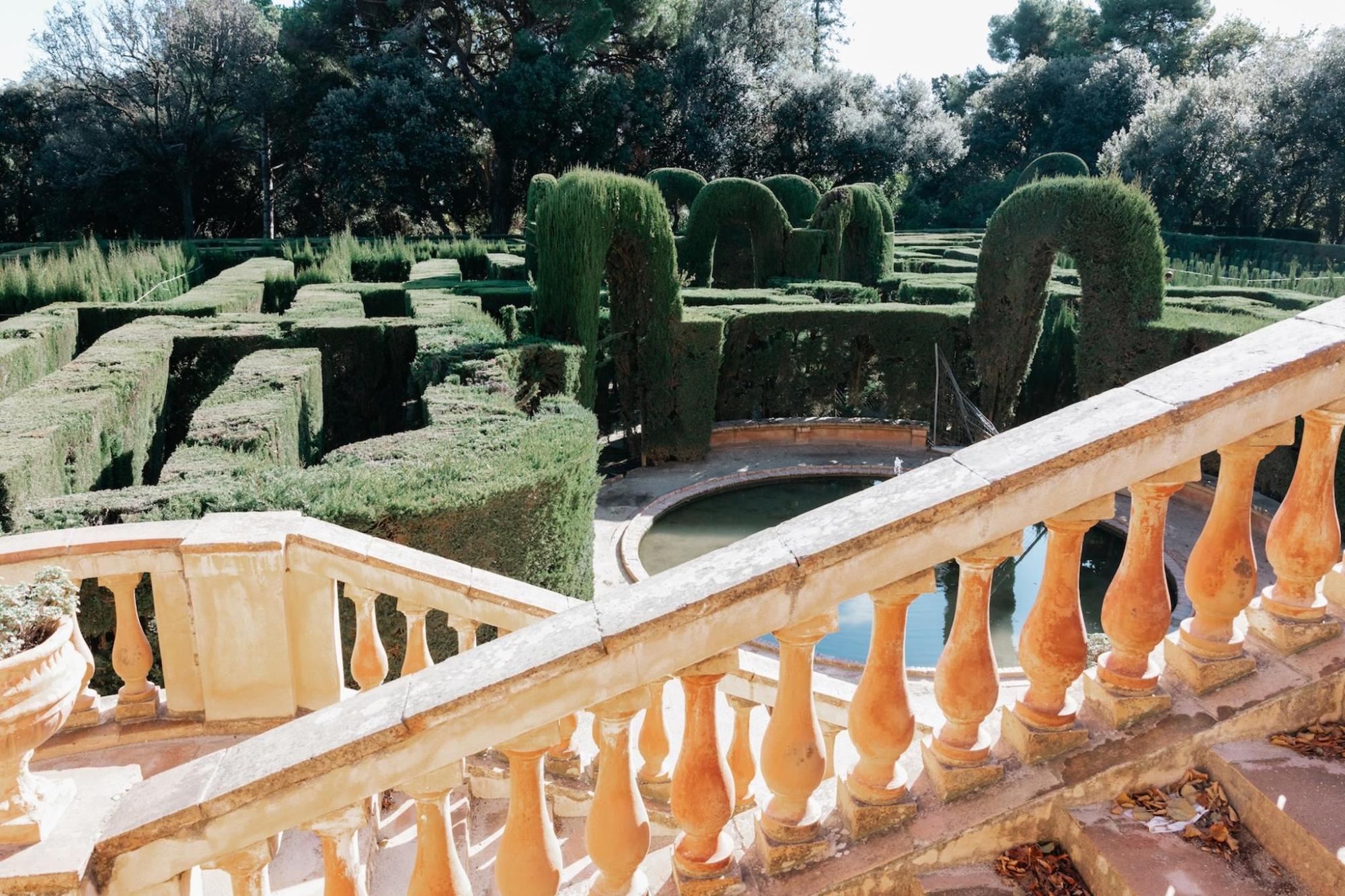 A hedged maze with some stone steps in the foreground