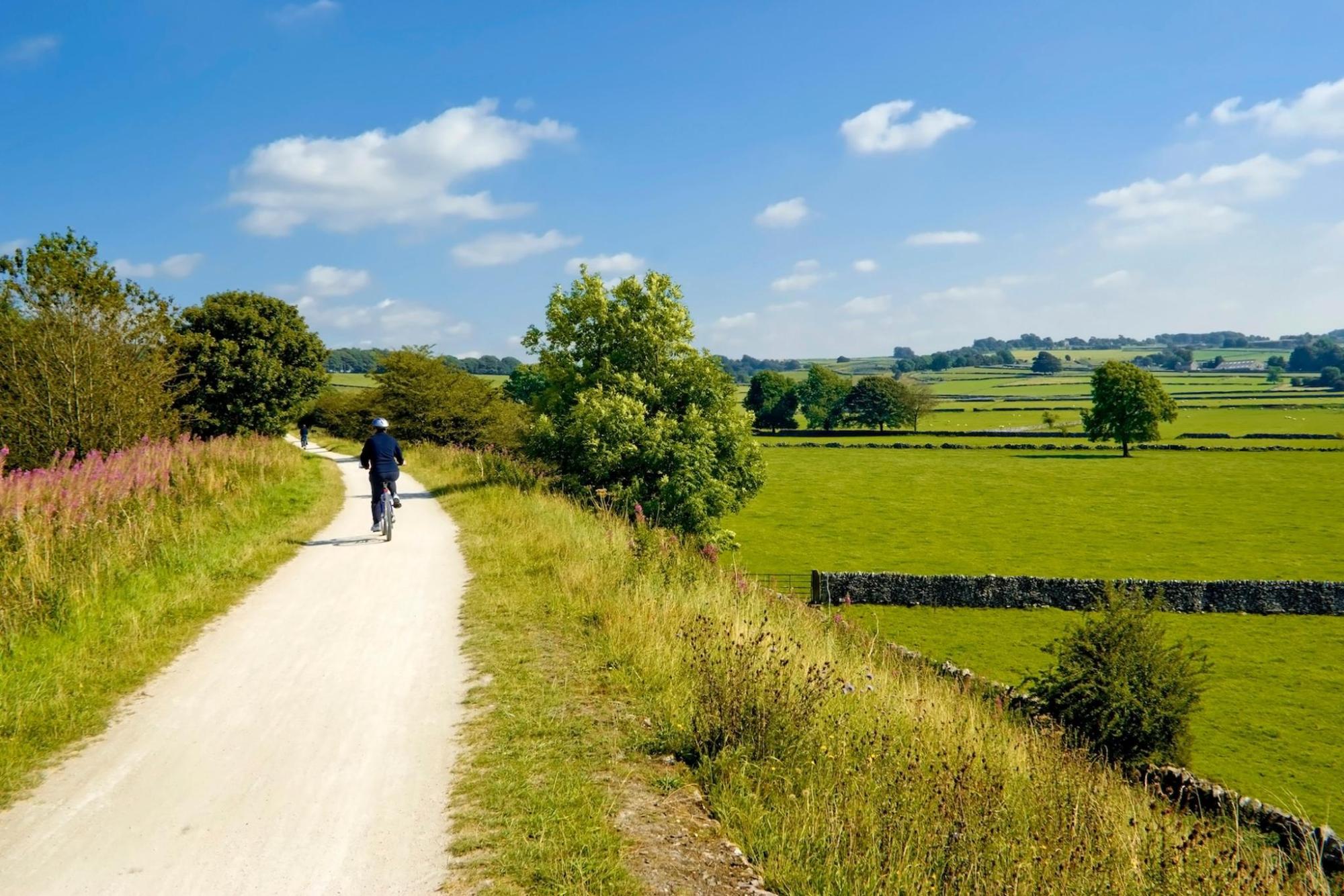 A green field with someone cycling on a path