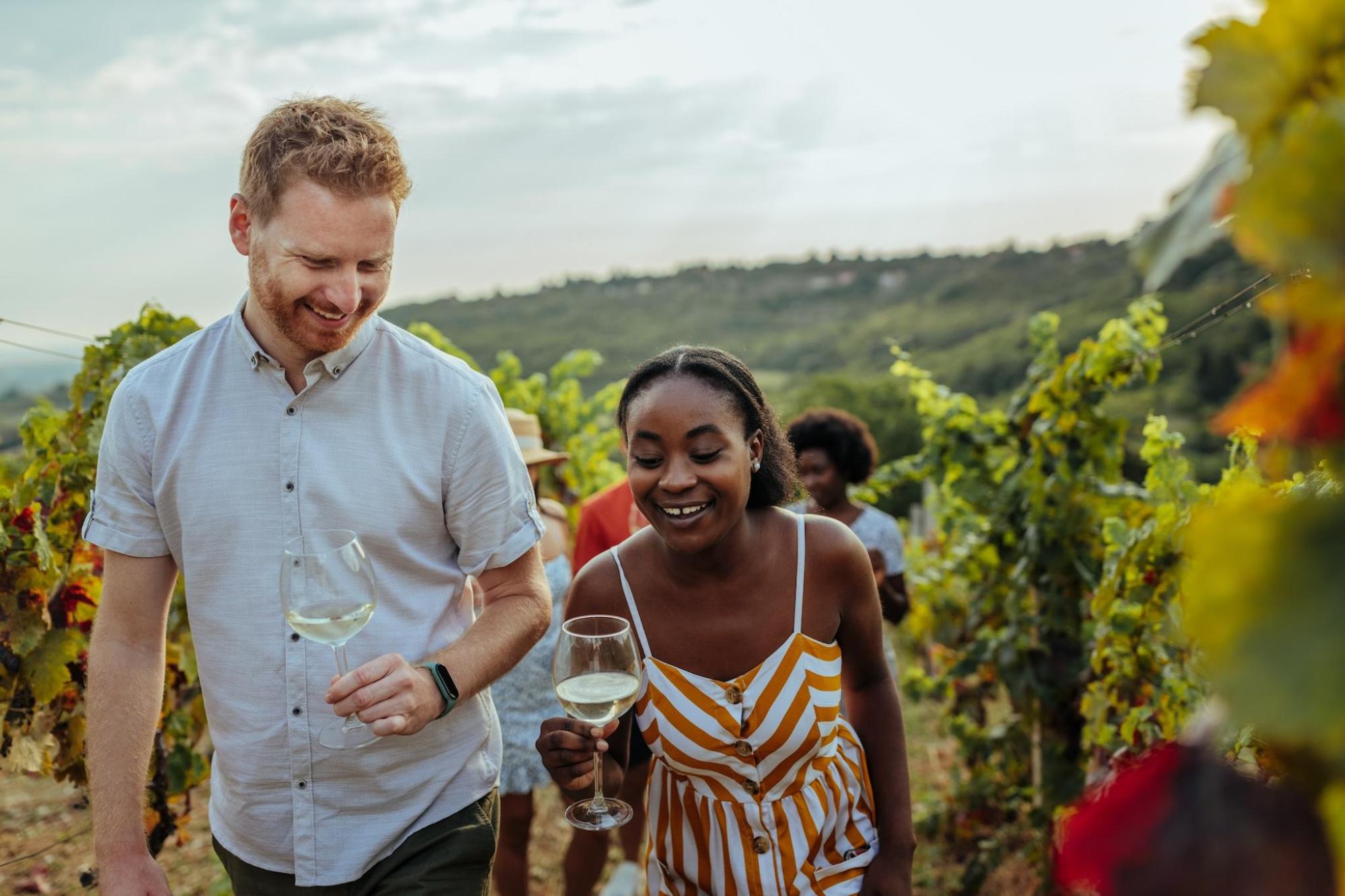 A couple toasting with wine glasses in a vineyard setting