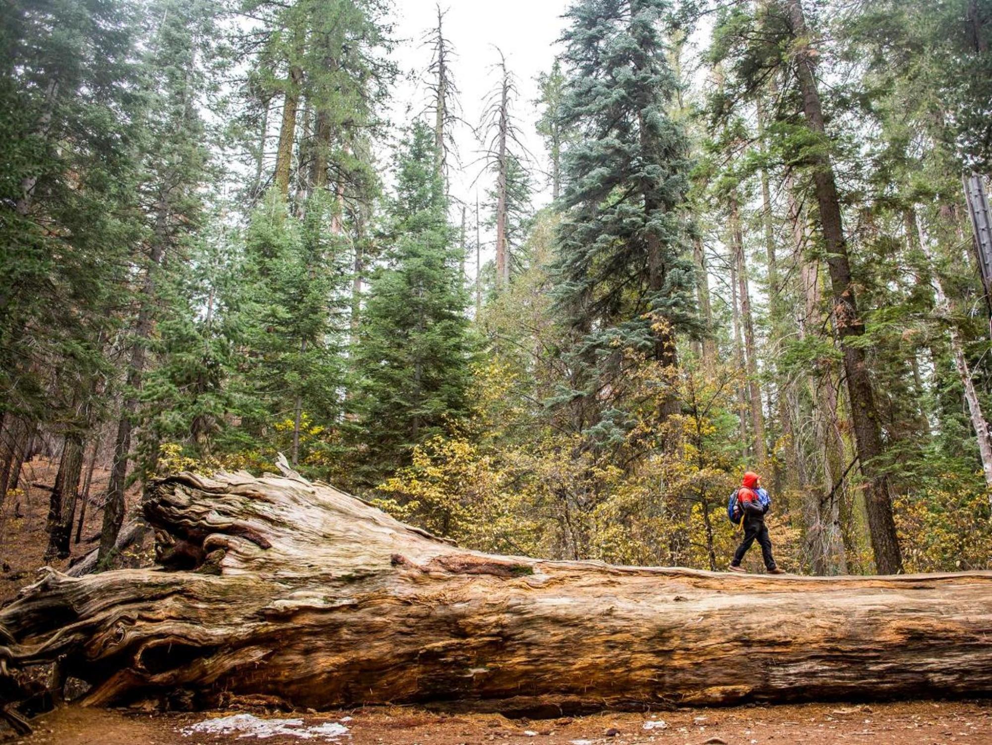 Must-visit national parks in the US