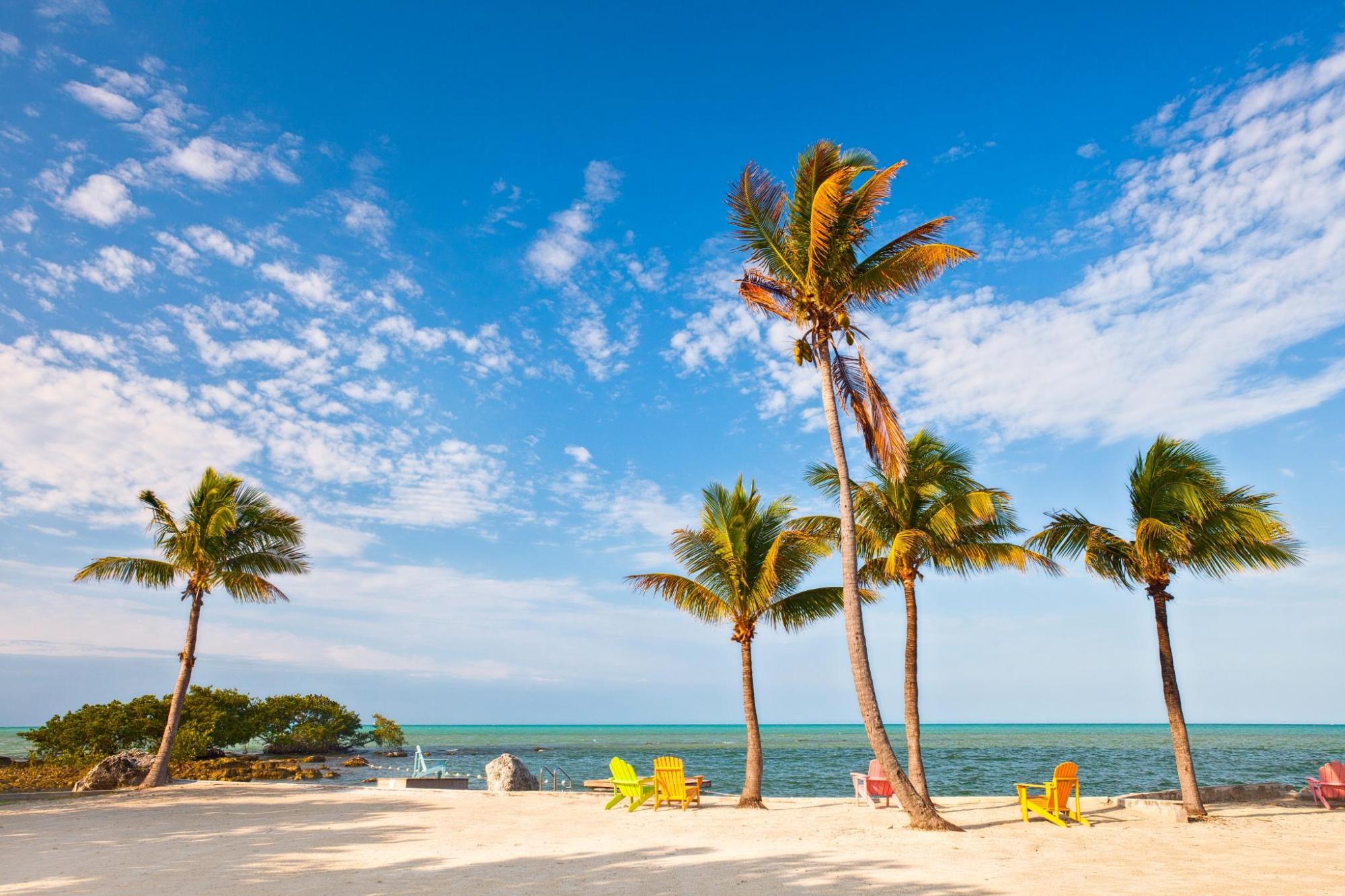 5 Miami hotels on the beach