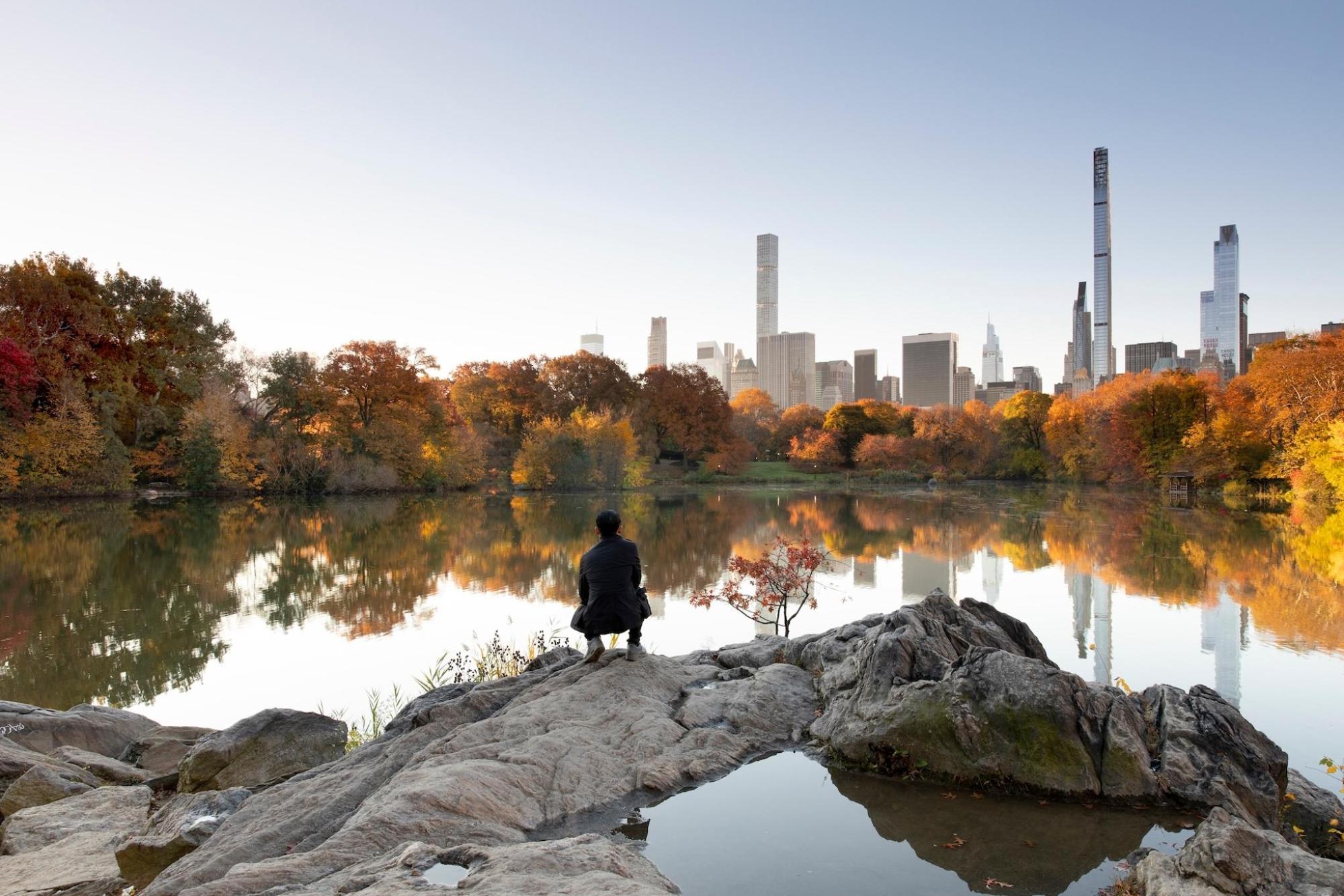 A man crouches, he overlooks NYC's autumnal landscape