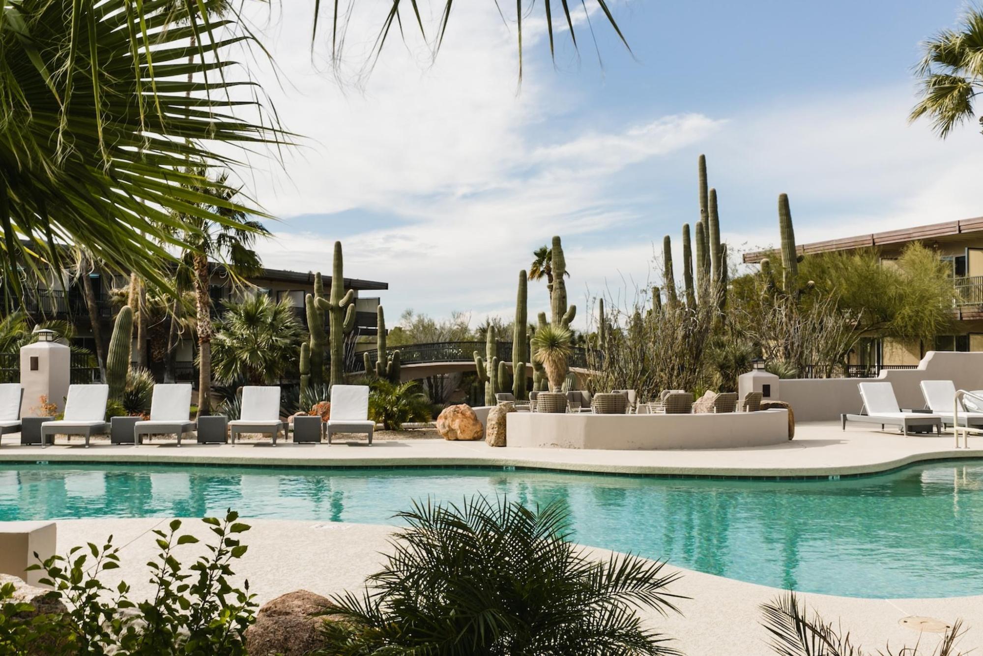 Cactus trees around a pool
