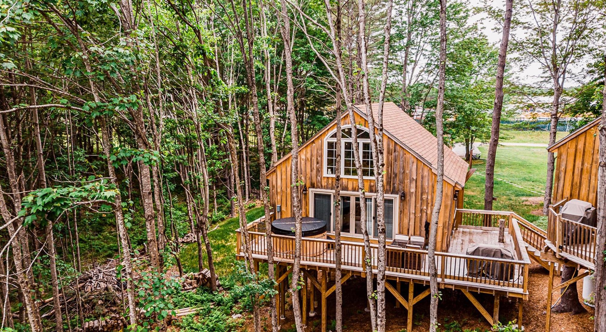 Two cozy cabins in a serene woodland setting