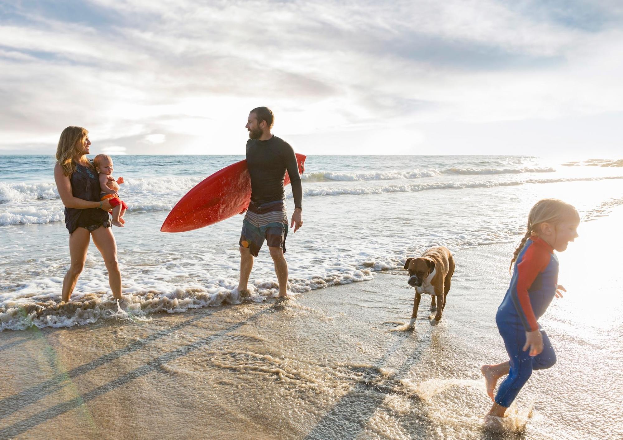 A family enjoy a beach day, their dog plays on the sand