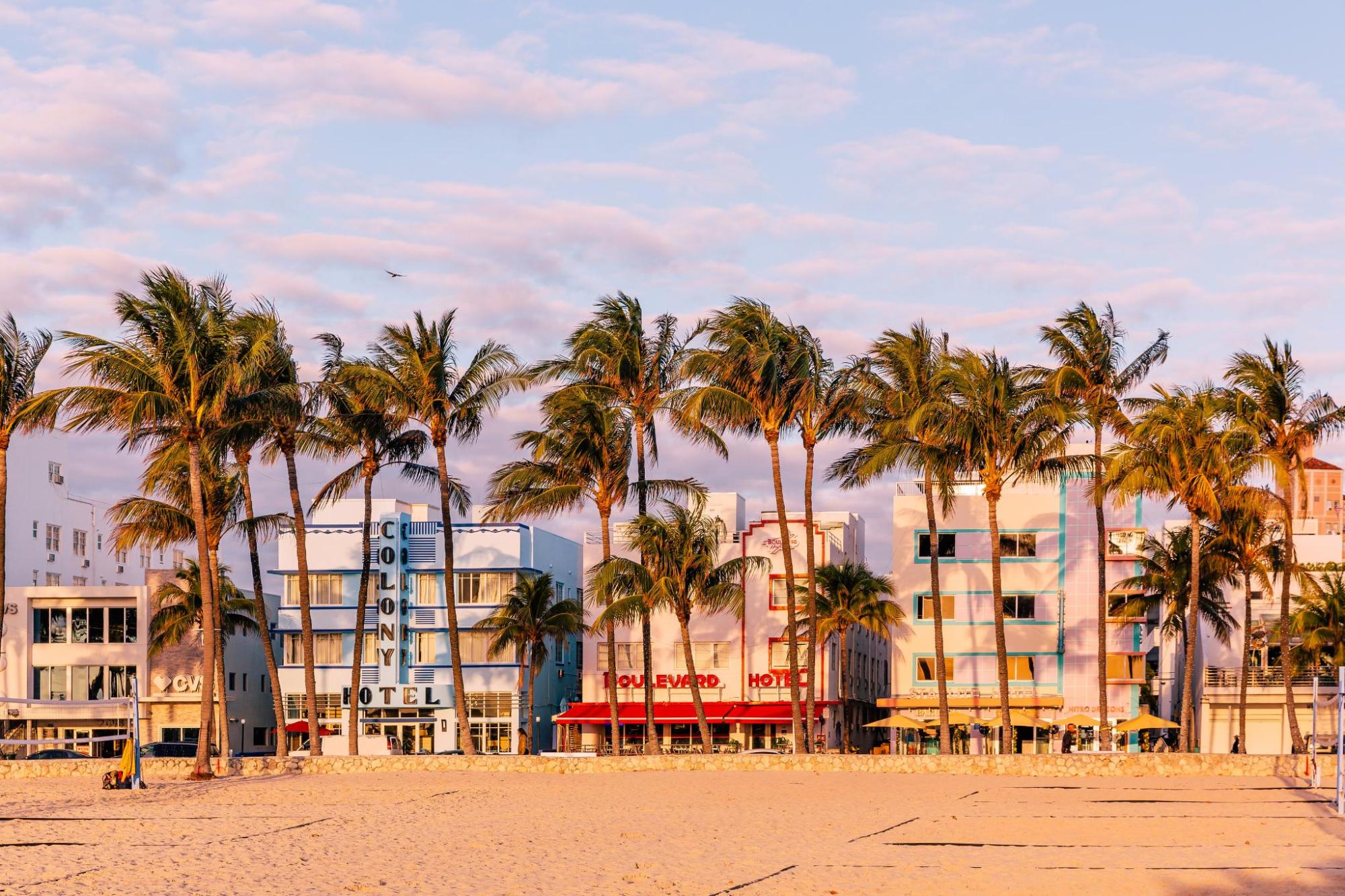 Palm trees sway on a beach in Miami