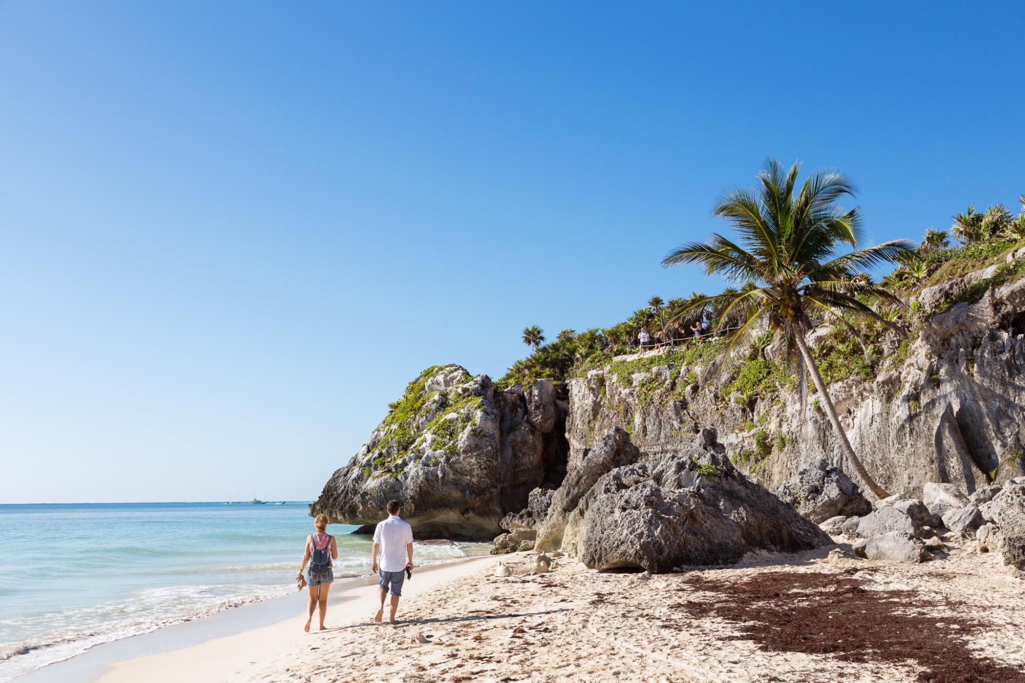 Couple walking along a sandy beach with palm trees