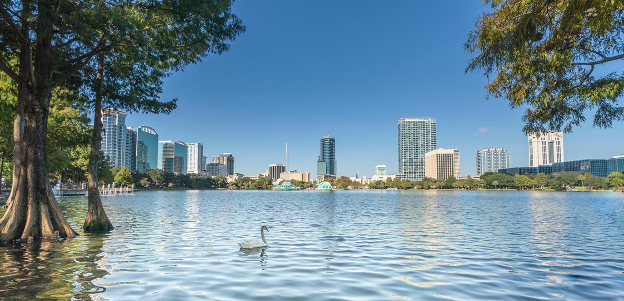 Swan gliding across a lake with Orlando modern city skyline 