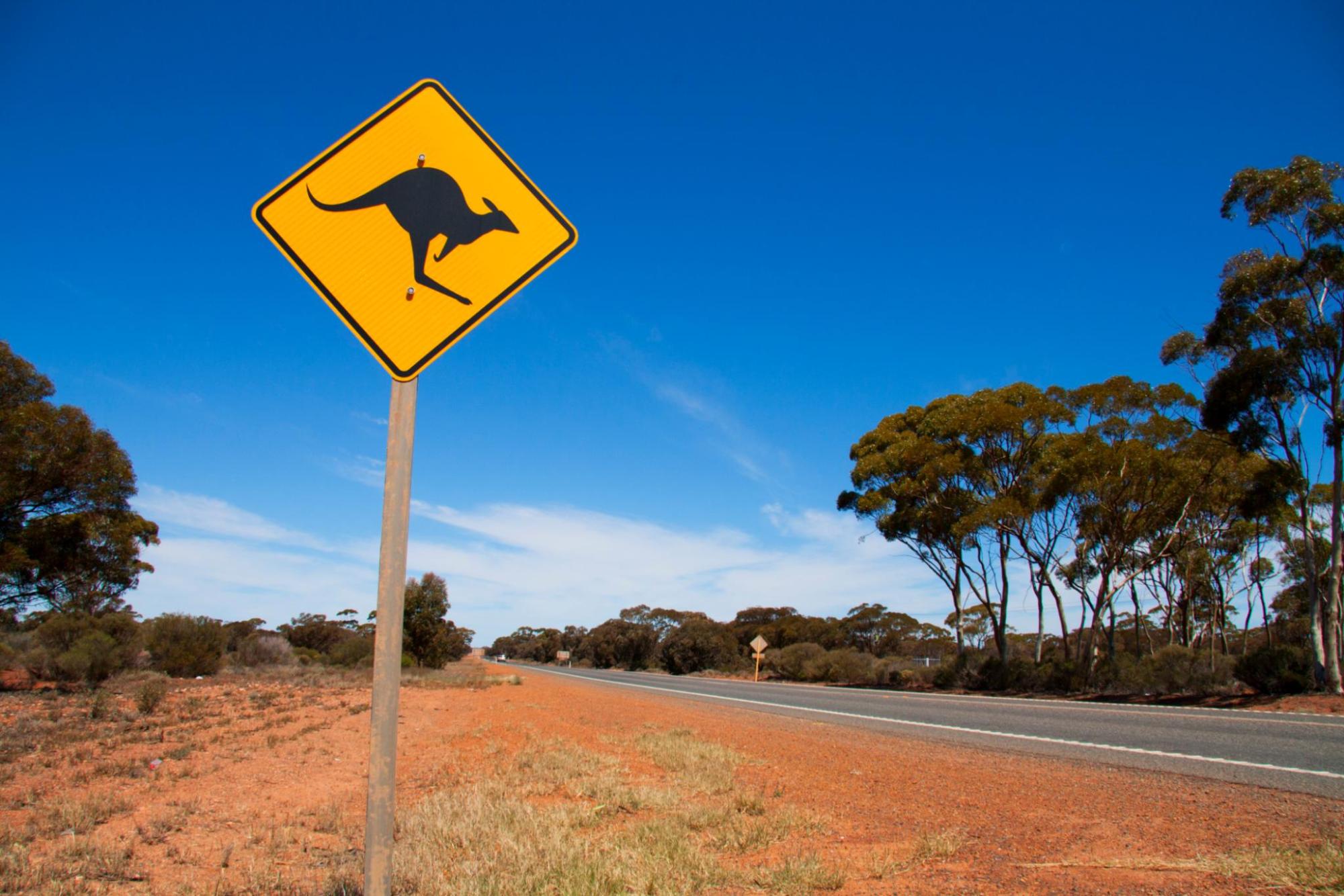 A kangaroo crossing sign stands beside an empty paved road stretching through an arid Australian landscape.