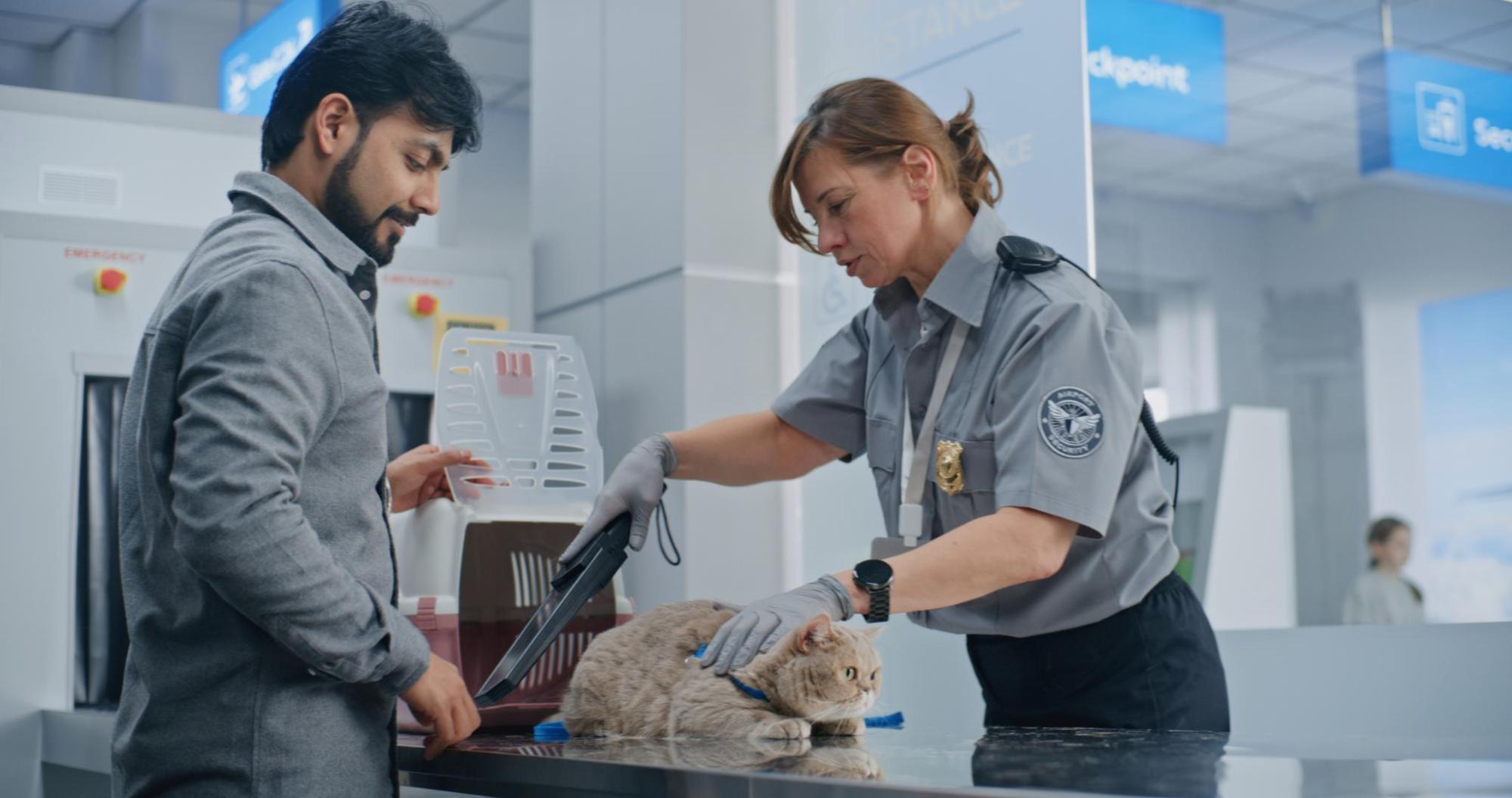 Security check while travelling with a cat
