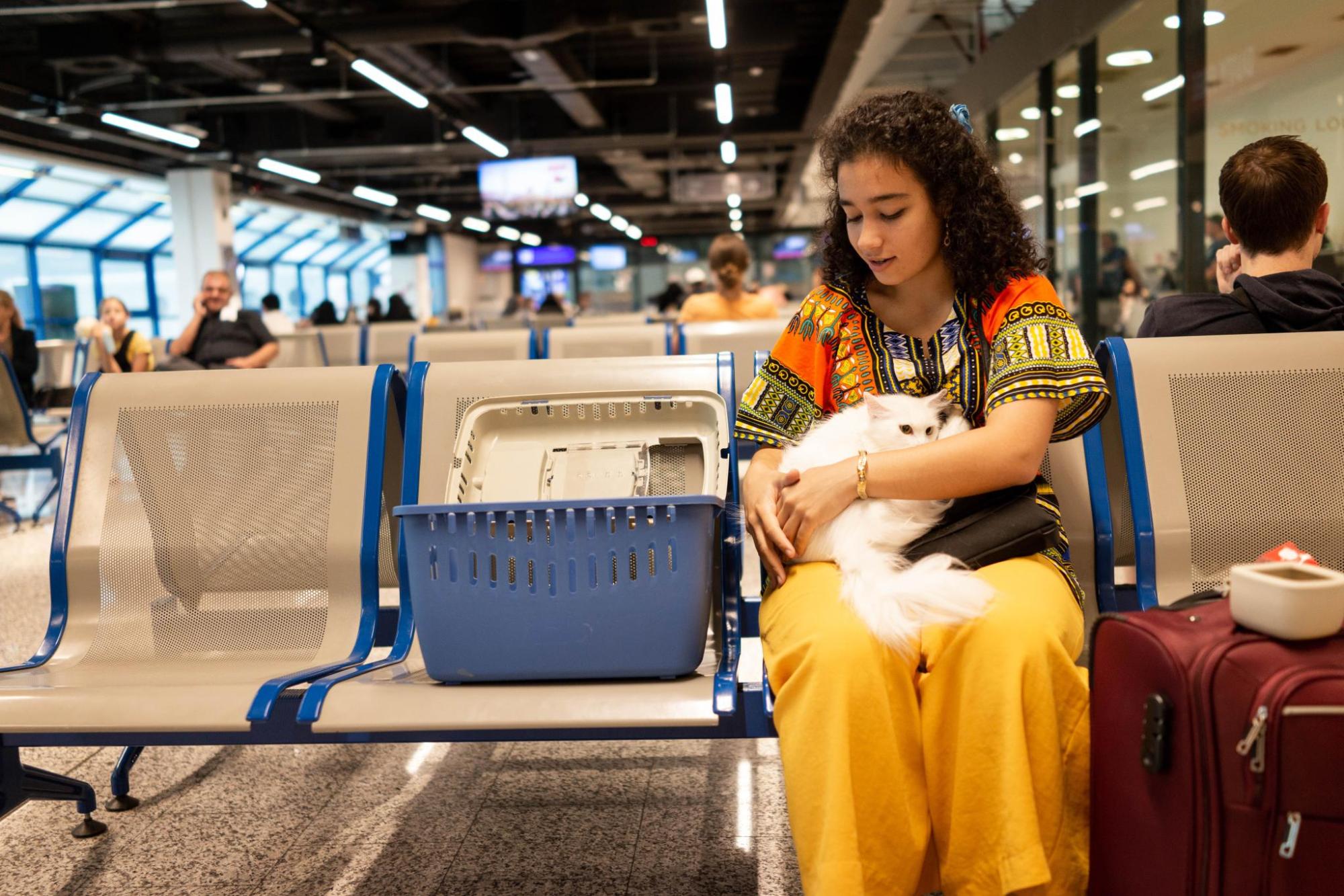 Femme tenant un chat blanc sur ses genoux dans une salle salle d'attente d'aéroport, une caisse de transport sur le siège à sa gauche