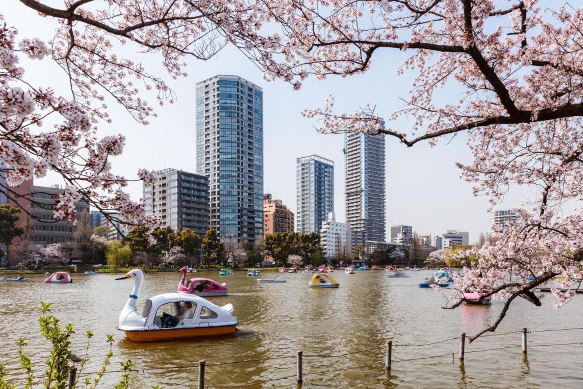 A pond with many boats and the SkyCreeper building in the background