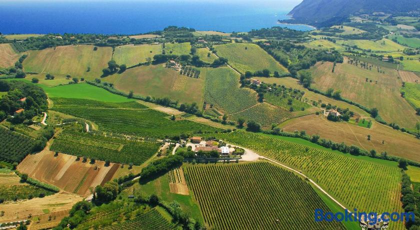 Agriturismo Le Vigne del Conero image