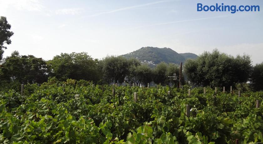 Il Monastero by null