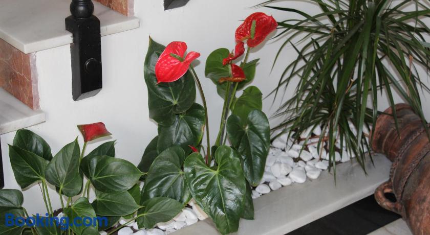 Hotel La Mirada by null