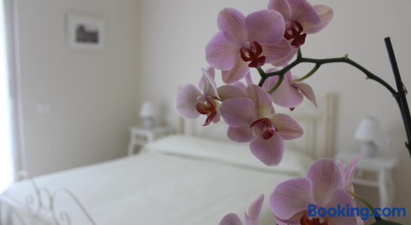 "Il Giglio Bianco" Sorrento B&B by null