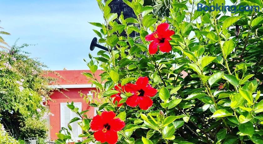 Hotel La Peña by null