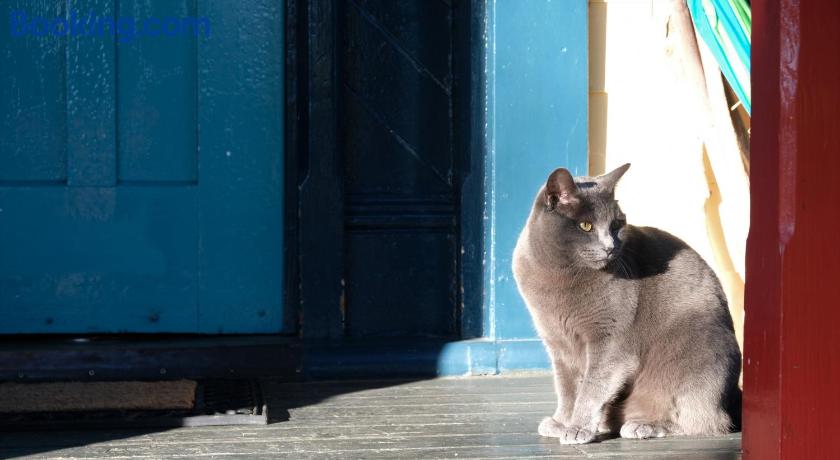 Chester Street Backpackers Long Term Accommodation - BBH by null