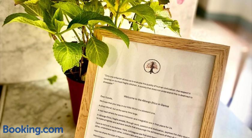 Palazzo Cambiaso by null