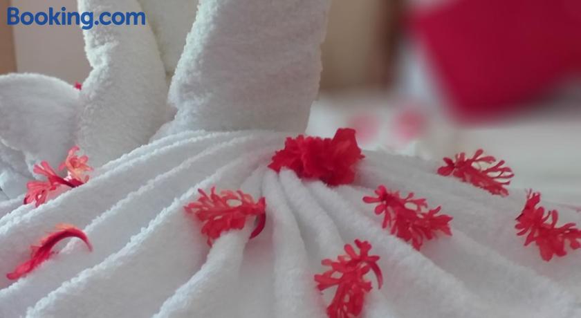 Pension Hibiscus Guesthouse by null