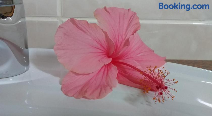 Pension Hibiscus Guesthouse by null